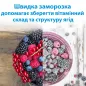 Вбудований холодильник Indesit INC20 T321 EU Вбудований холодильник Indesit INC20 T321 EU