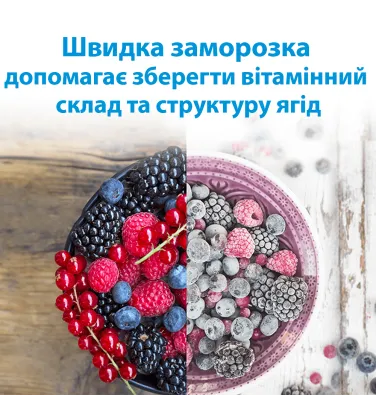Купить холодильник  INC20T321EU в официальном магазине Indesit
