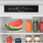 Вбудований холодильник Indesit  INC18 T311