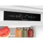 Вбудований холодильник Indesit INC20 T321 EU Вбудований холодильник Indesit INC20 T321 EU