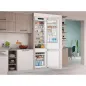 Вбудований холодильник Indesit INC20 T321 EU Вбудований холодильник Indesit INC20 T321 EU